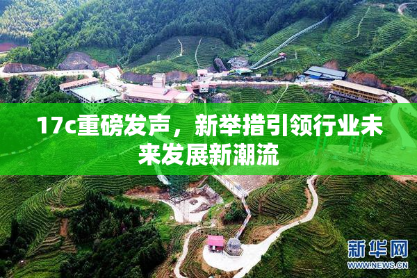 17c重磅发声，新举措引领行业未来发展新潮流