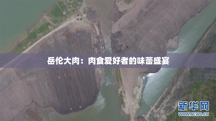 岳伦大肉：肉食爱好者的味蕾盛宴
