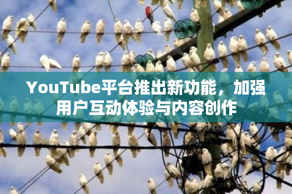 YouTube平台推出新功能，加强用户互动体验与内容创作