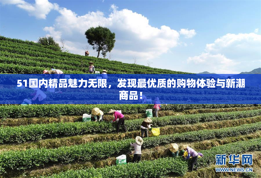 51国内精品魅力无限，发现最优质的购物体验与新潮商品！
