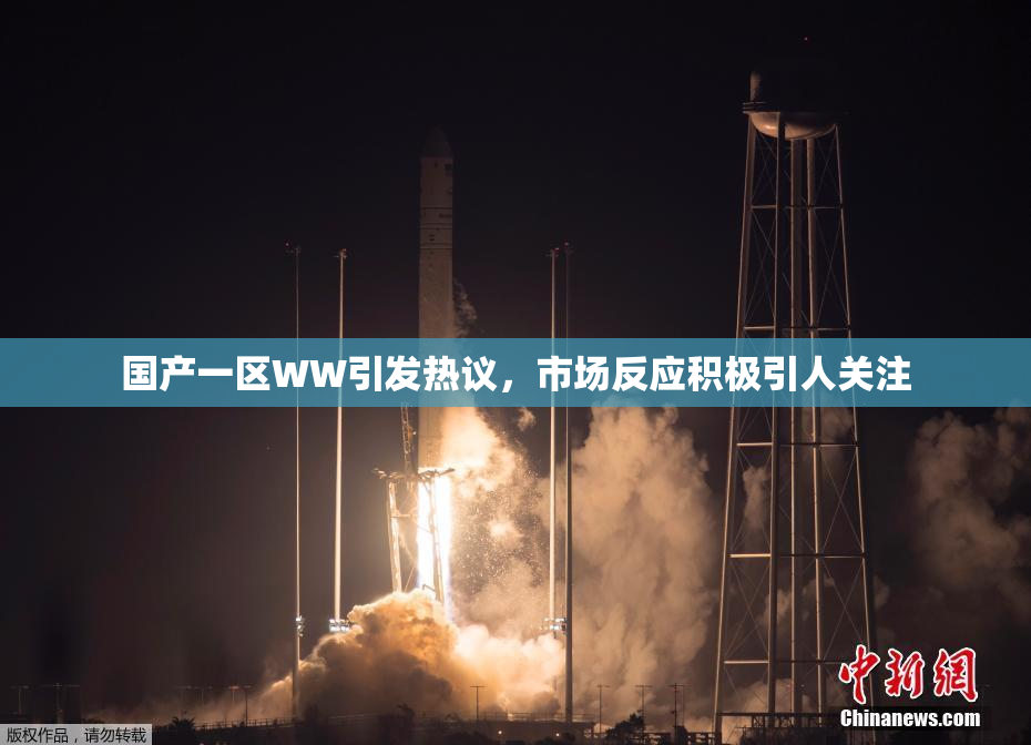 国产一区WW引发热议，市场反应积极引人关注