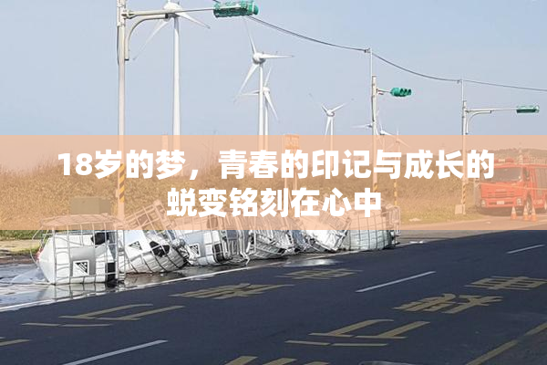 18岁的梦，青春的印记与成长的蜕变铭刻在心中