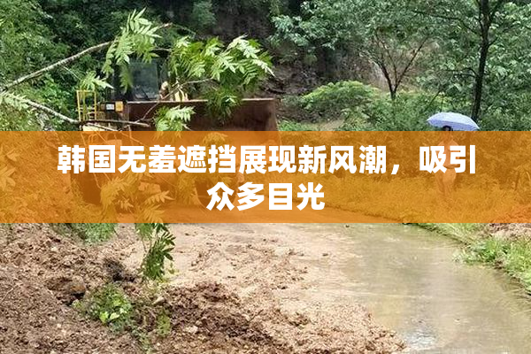 韩国无羞遮挡展现新风潮，吸引众多目光