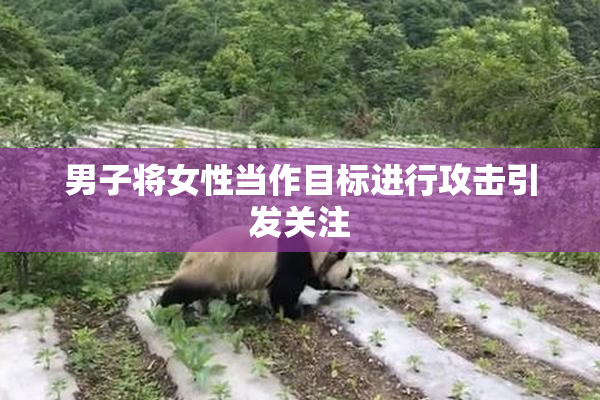 男子将女性当作目标进行攻击引发关注