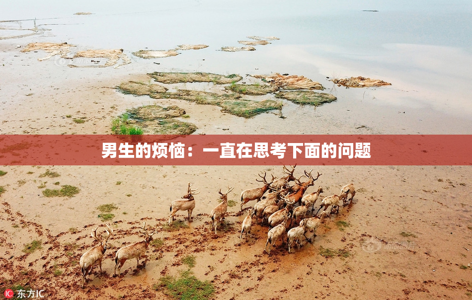男生的烦恼：一直在思考下面的问题