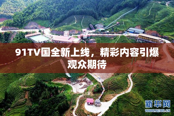 91TV国全新上线，精彩内容引爆观众期待