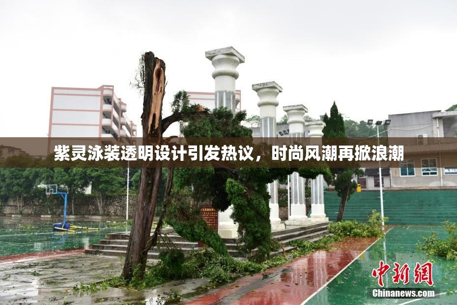紫灵泳装透明设计引发热议，时尚风潮再掀浪潮