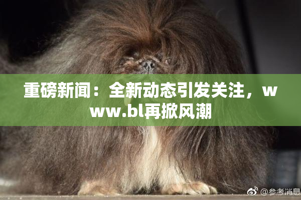 重磅新闻：全新动态引发关注，www.bl再掀风潮