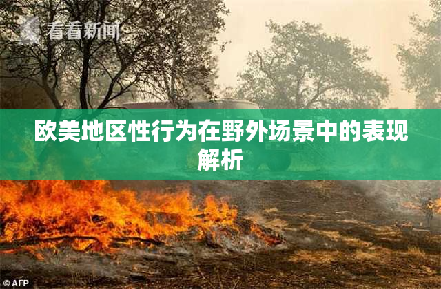 欧美地区性行为在野外场景中的表现解析