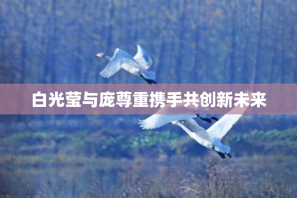 白光莹与庞尊重携手共创新未来