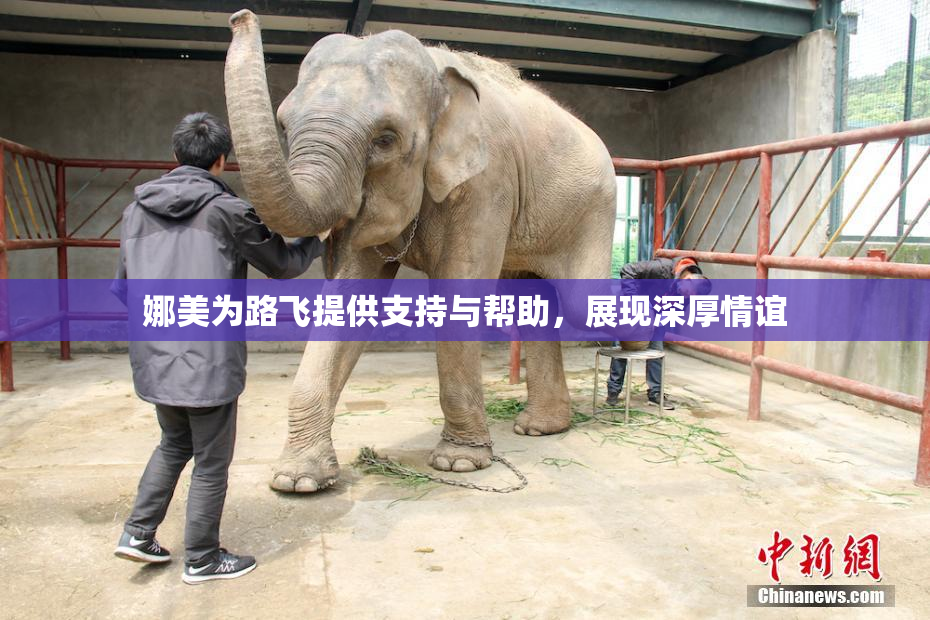 娜美为路飞提供支持与帮助，展现深厚情谊