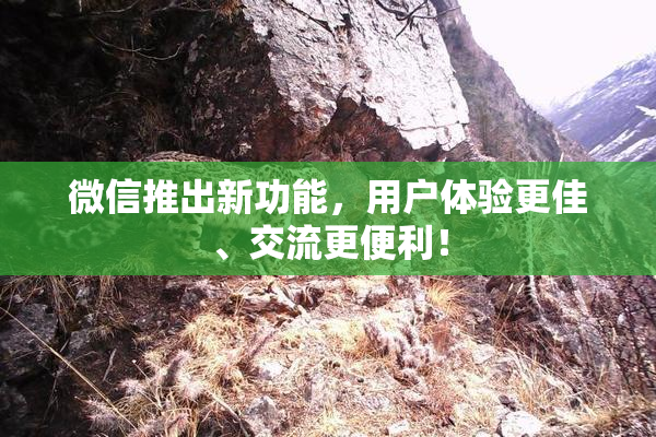 微信推出新功能，用户体验更佳、交流更便利！