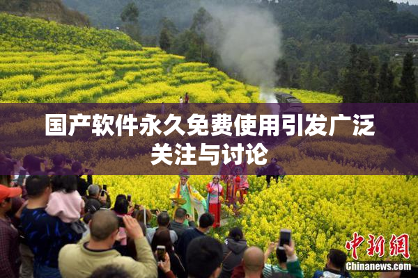 国产软件永久免费使用引发广泛关注与讨论
