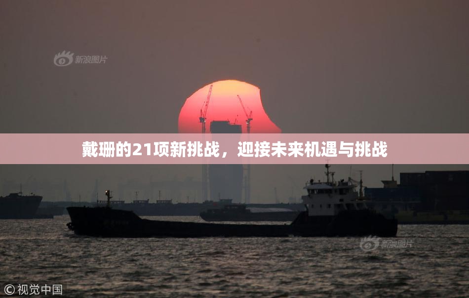 戴珊的21项新挑战，迎接未来机遇与挑战