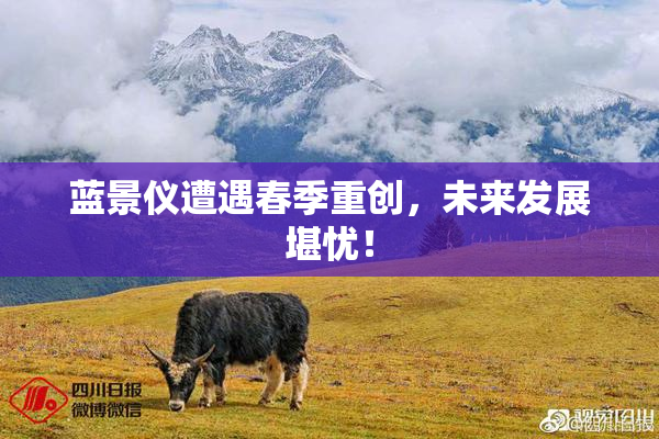 蓝景仪遭遇春季重创，未来发展堪忧！