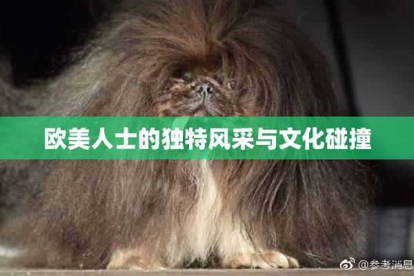 欧美人士的独特风采与文化碰撞