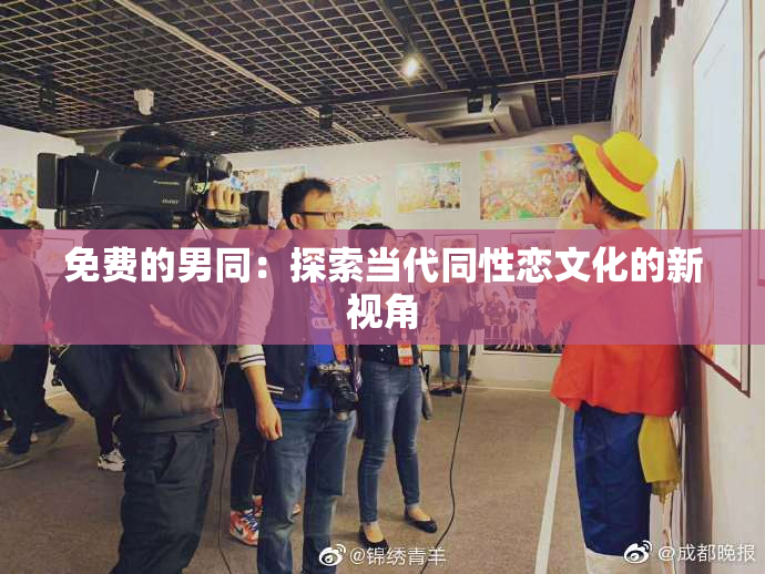 免费的男同：探索当代同性恋文化的新视角