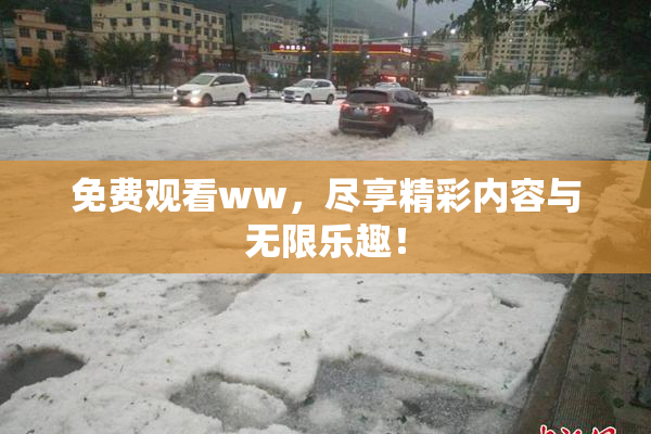 免费观看ww，尽享精彩内容与无限乐趣！