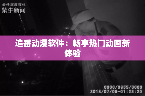 追番动漫软件：畅享热门动画新体验
