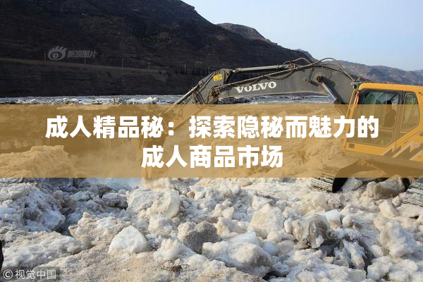 成人精品秘：探索隐秘而魅力的成人商品市场