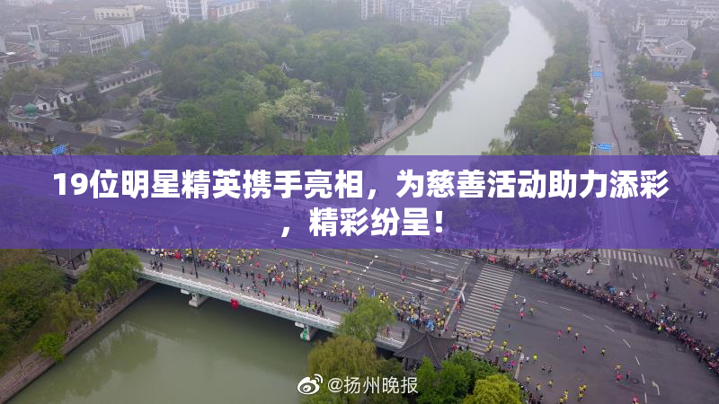 19位明星精英携手亮相，为慈善活动助力添彩，精彩纷呈！