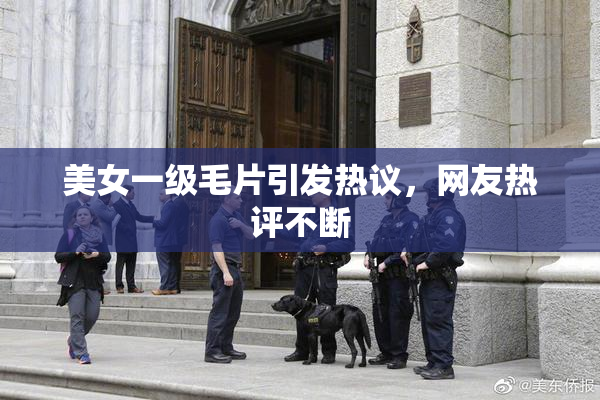美女一级毛片引发热议，网友热评不断
