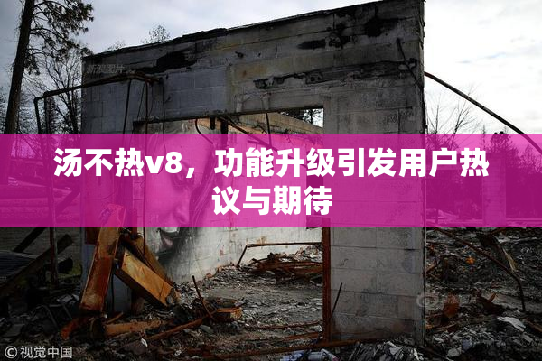 汤不热v8，功能升级引发用户热议与期待