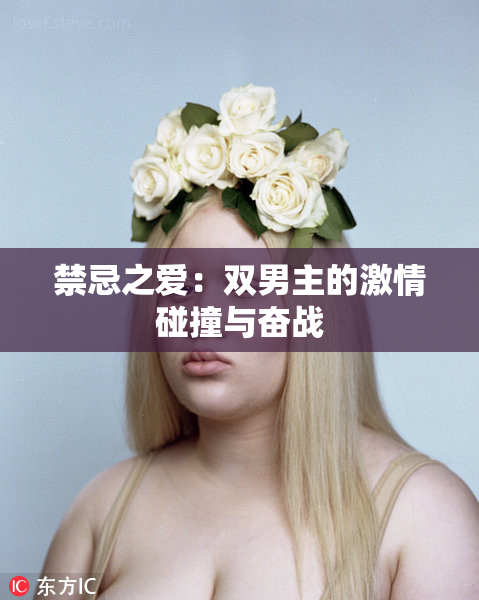 禁忌之爱：双男主的激情碰撞与奋战