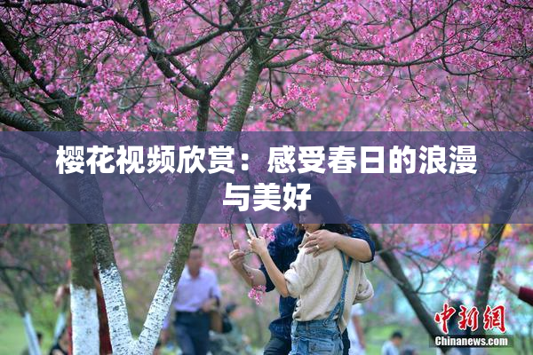 樱花视频欣赏：感受春日的浪漫与美好