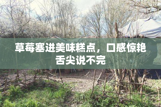 草莓塞进美味糕点，口感惊艳舌尖说不完