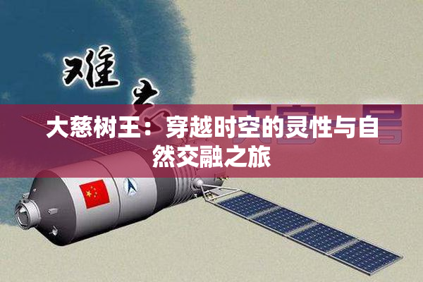 大慈树王：穿越时空的灵性与自然交融之旅