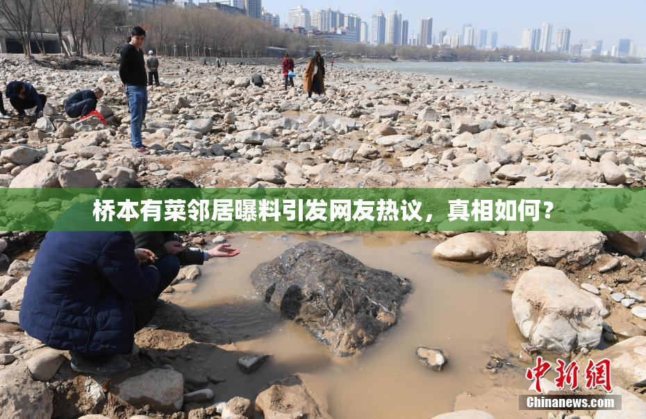 桥本有菜邻居曝料引发网友热议，真相如何？