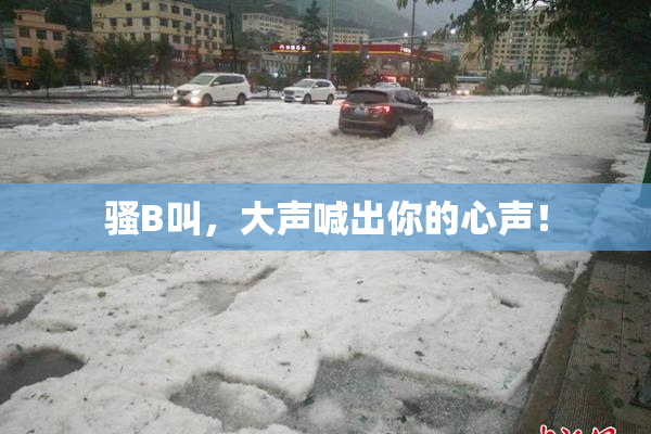 骚B叫，大声喊出你的心声！