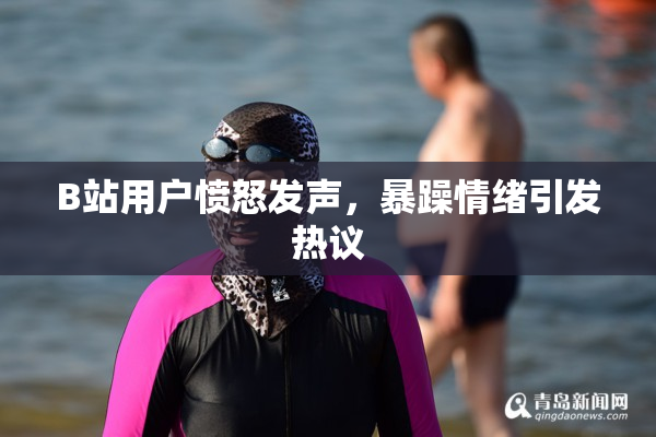 B站用户愤怒发声，暴躁情绪引发热议