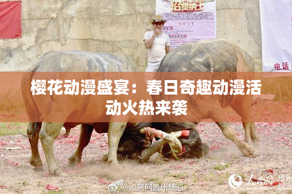 樱花动漫盛宴：春日奇趣动漫活动火热来袭