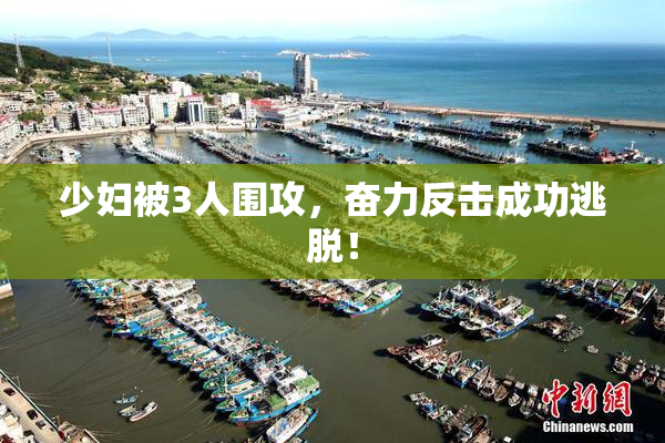 少妇被3人围攻，奋力反击成功逃脱！