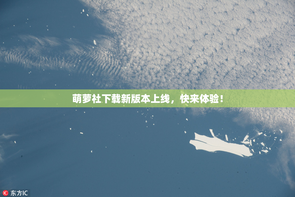 萌萝社下载新版本上线，快来体验！