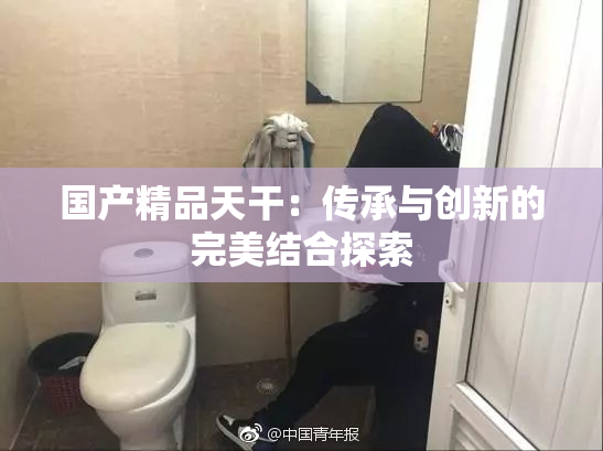 国产精品天干：传承与创新的完美结合探索