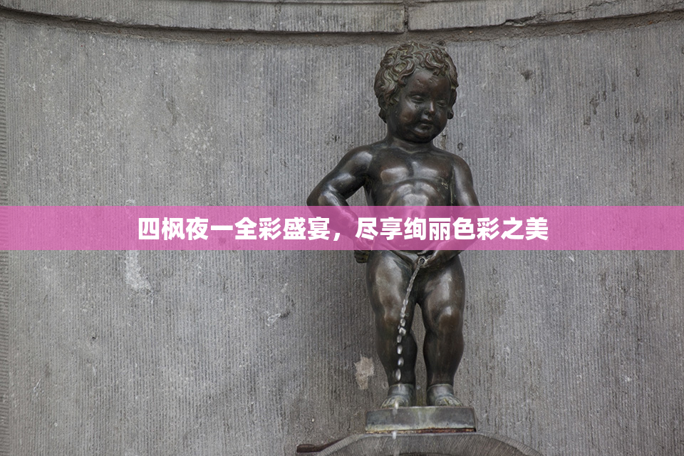 四枫夜一全彩盛宴，尽享绚丽色彩之美