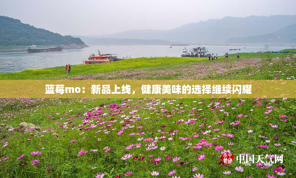 蓝莓mo：新品上线，健康美味的选择继续闪耀