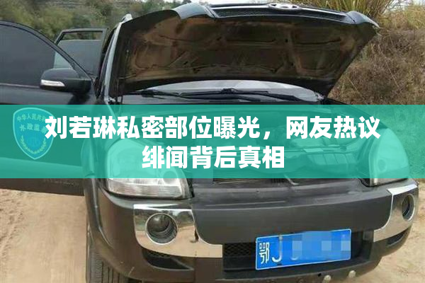 刘若琳私密部位曝光，网友热议绯闻背后真相