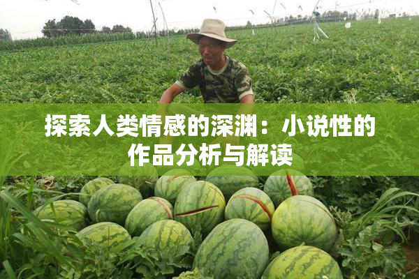 探索人类情感的深渊：小说性的作品分析与解读