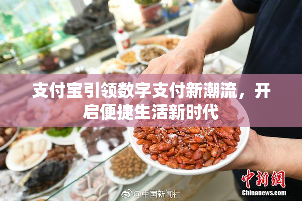 支付宝引领数字支付新潮流，开启便捷生活新时代
