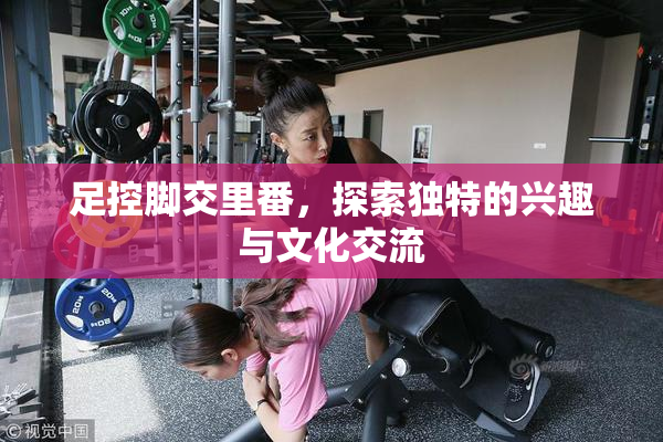 足控脚交里番，探索独特的兴趣与文化交流
