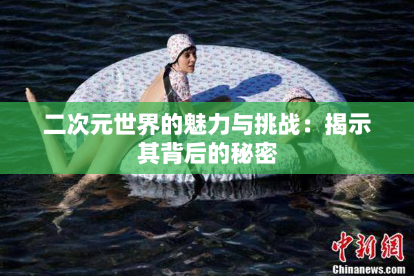 二次元世界的魅力与挑战：揭示其背后的秘密