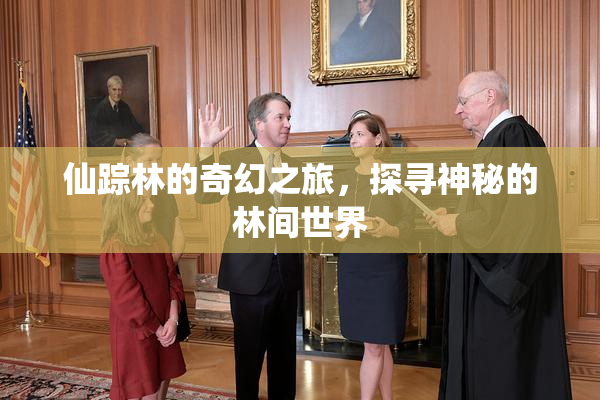 仙踪林的奇幻之旅，探寻神秘的林间世界