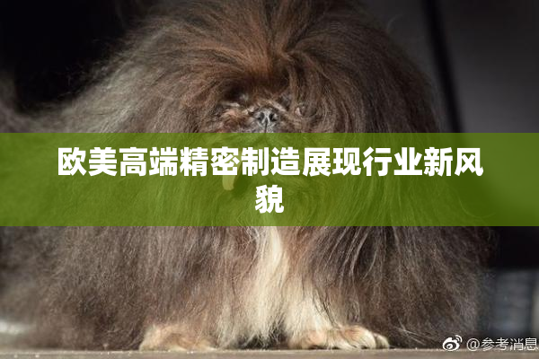 欧美高端精密制造展现行业新风貌