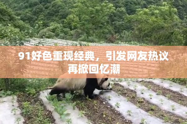 91好色重现经典，引发网友热议再掀回忆潮