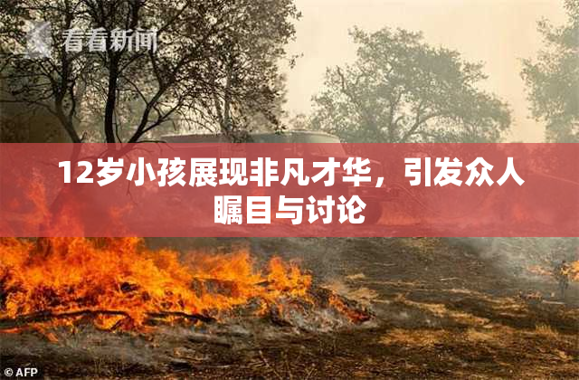 12岁小孩展现非凡才华，引发众人瞩目与讨论