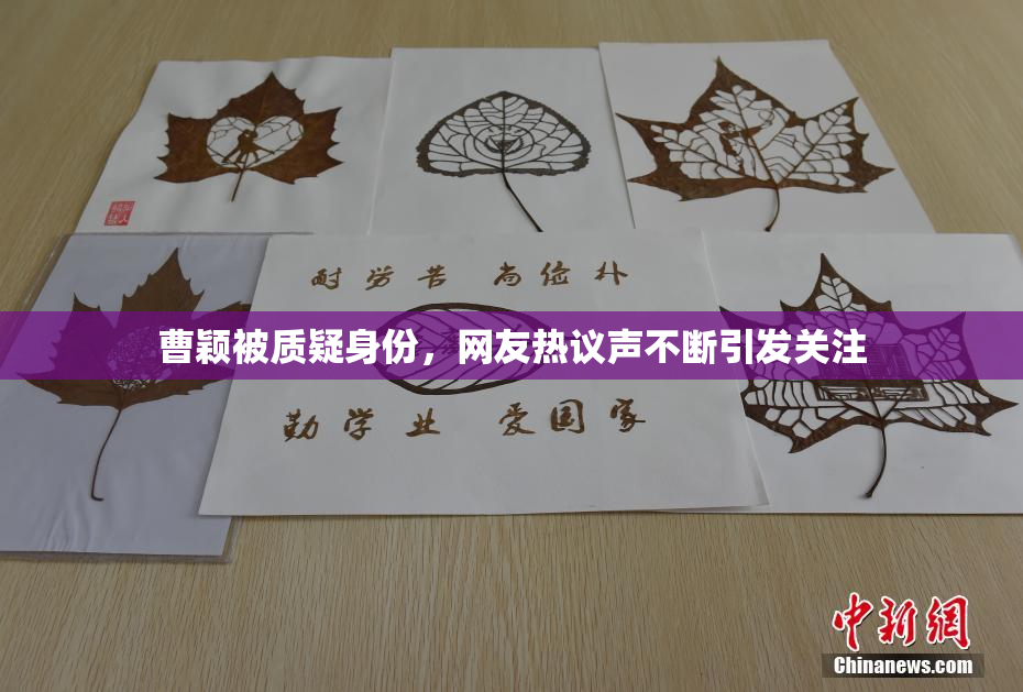 曹颖被质疑身份，网友热议声不断引发关注